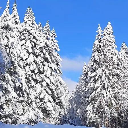 Ferienwohnung Vogelnest im Schwarzwald Baiersbronn Exterior foto