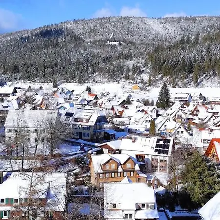 Ferienwohnung Vogelnest im Schwarzwald Baiersbronn Exterior foto