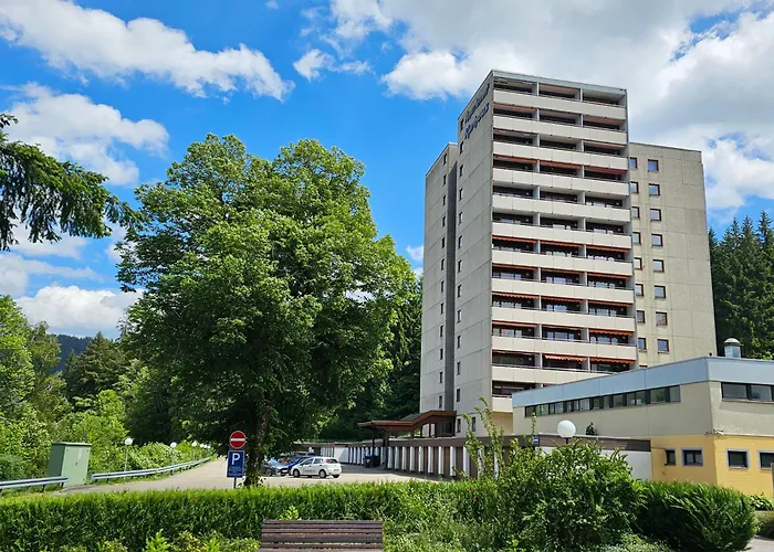 Ferienwohnung Vogelnest im Schwarzwald