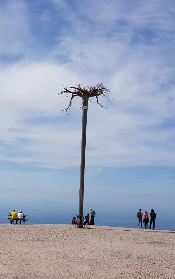 Vogelnest Im Schwarzwald Baiersbronn