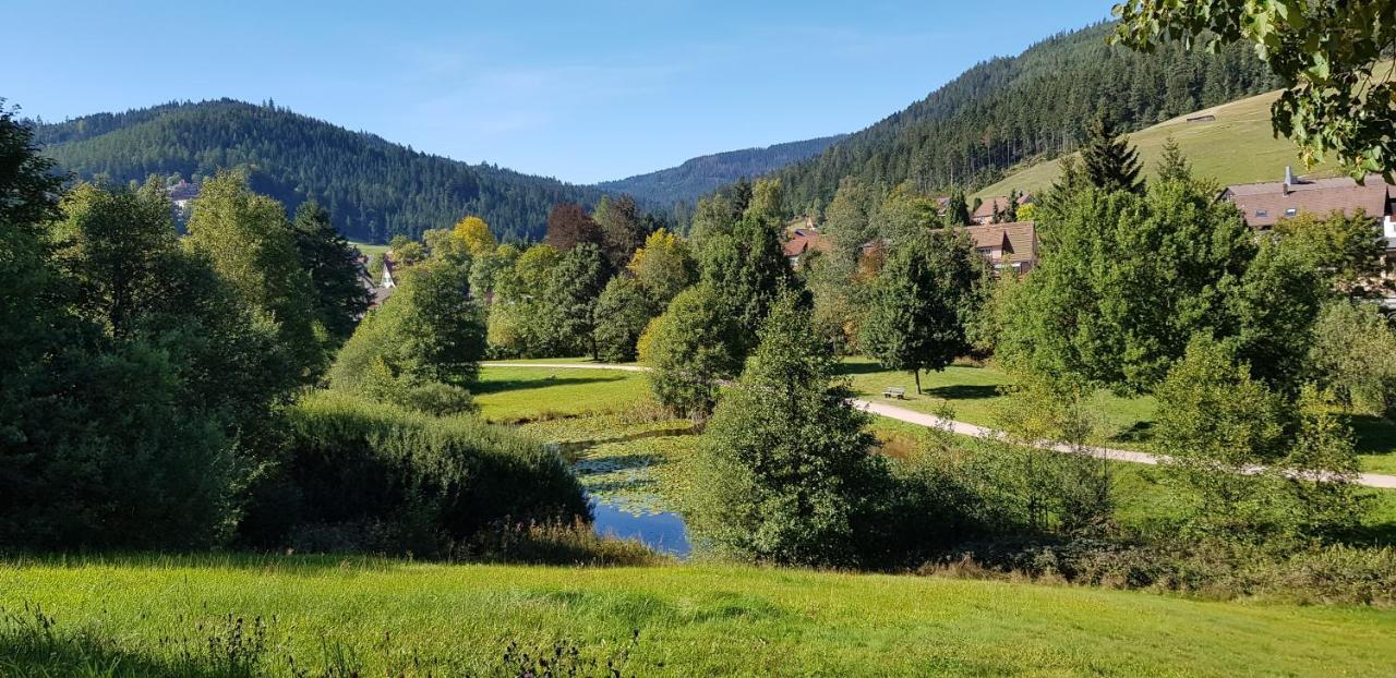 Apartment Vogelnest Im Schwarzwald