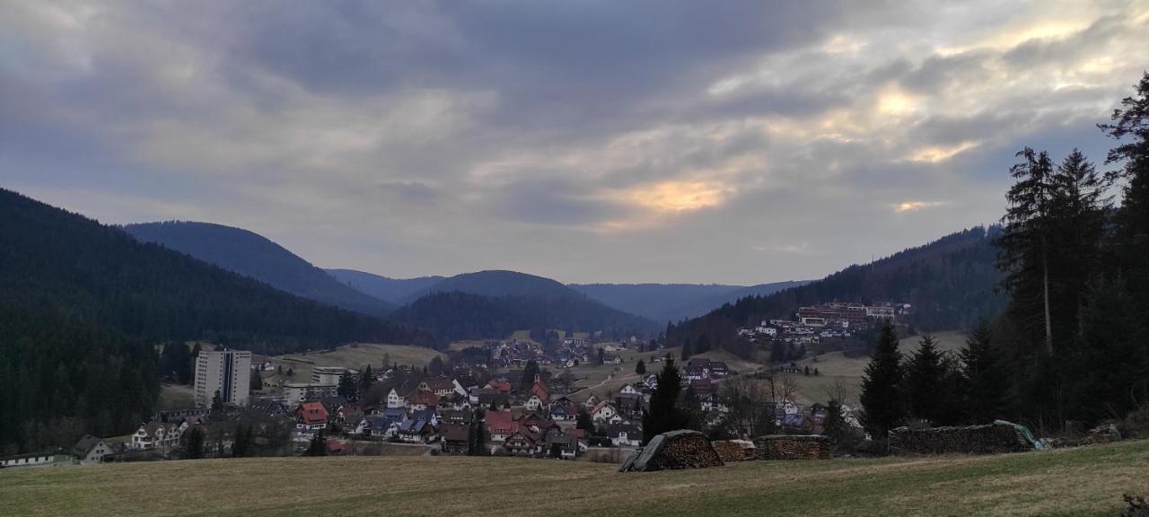 Apartment Vogelnest Im Schwarzwald