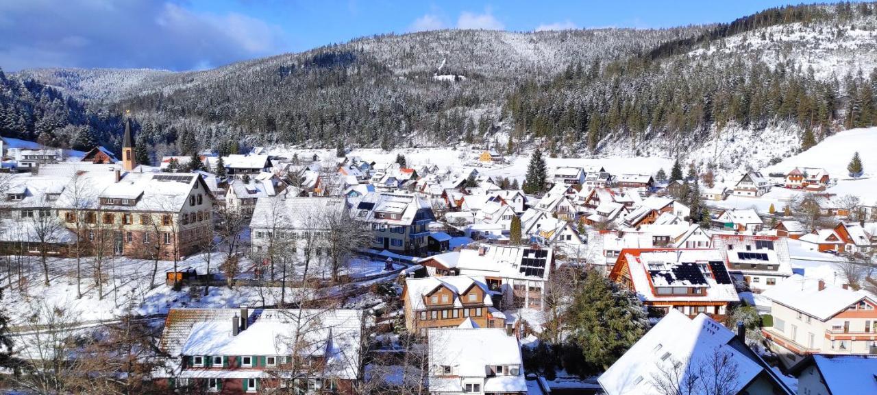 Vogelnest Im Schwarzwald Apartment *