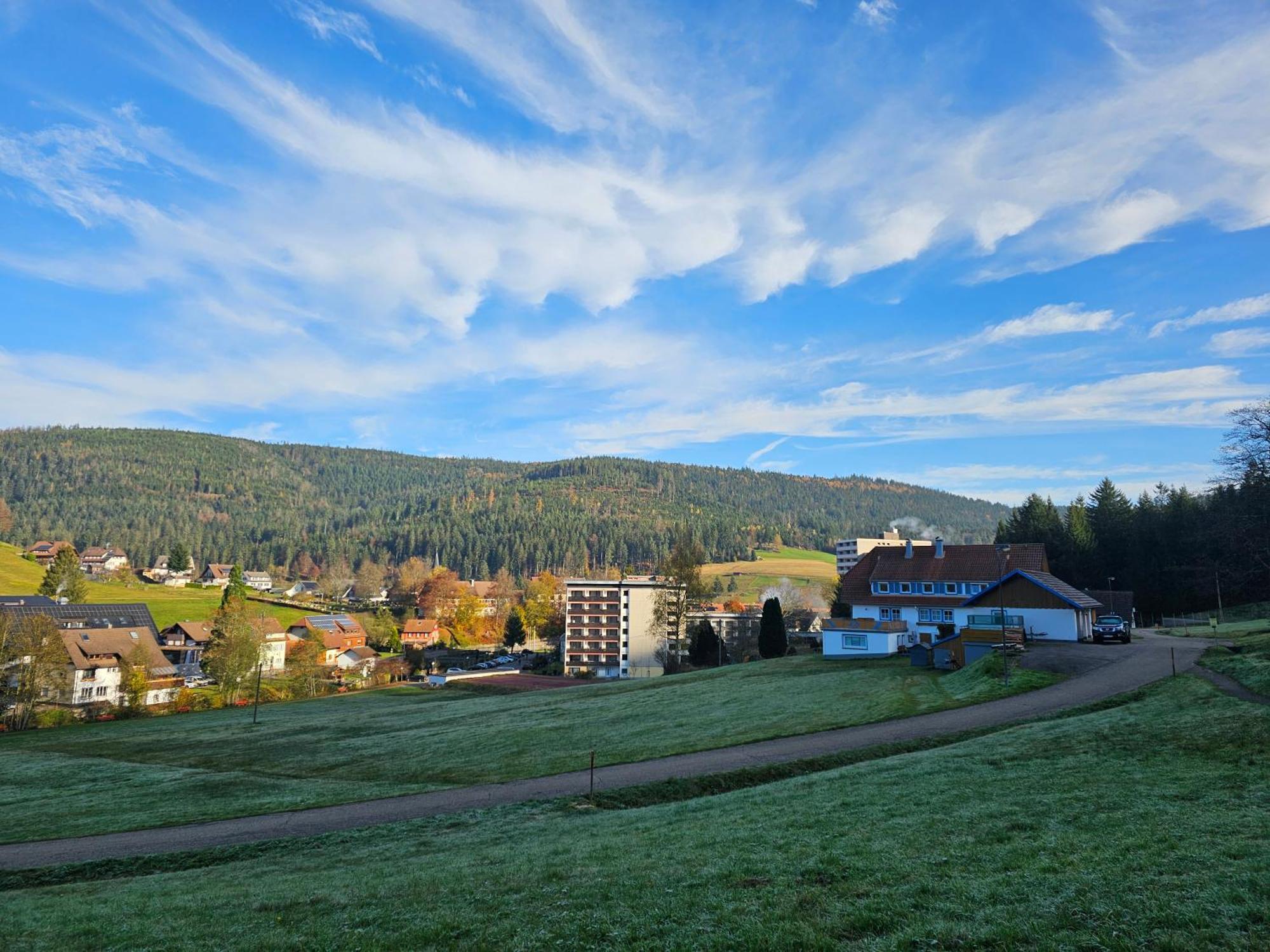 Vogelnest Im Schwarzwald Apartment Baiersbronn