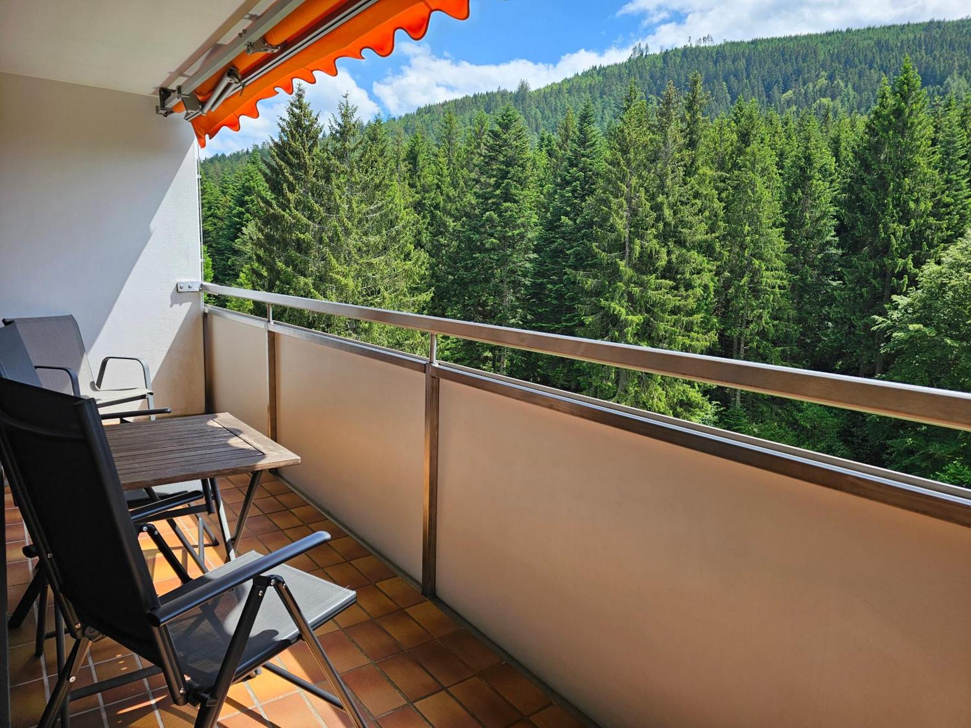 Vogelnest Im Schwarzwald Apartment